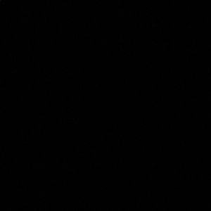 Meet your Posher, Anna kate